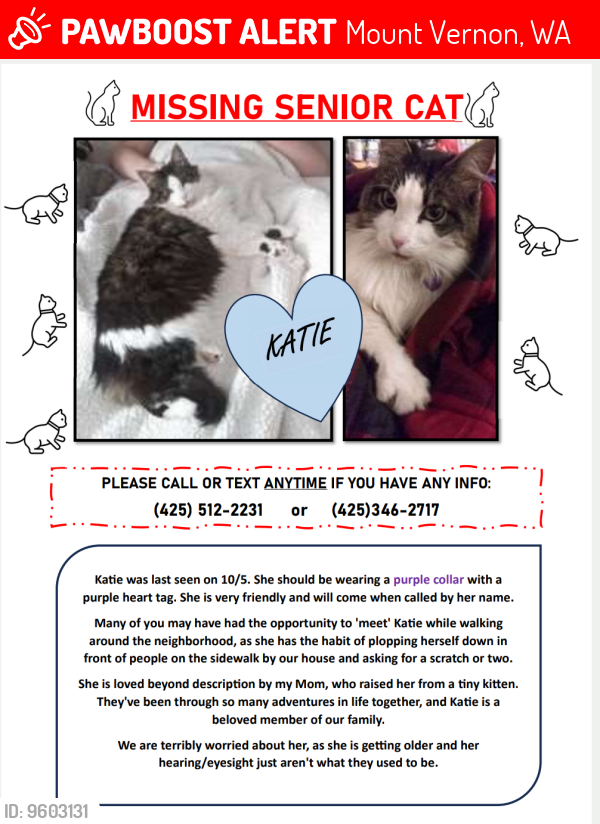 Mount Vernon WA Lost Female Cat Katie Is Missing PawBoost