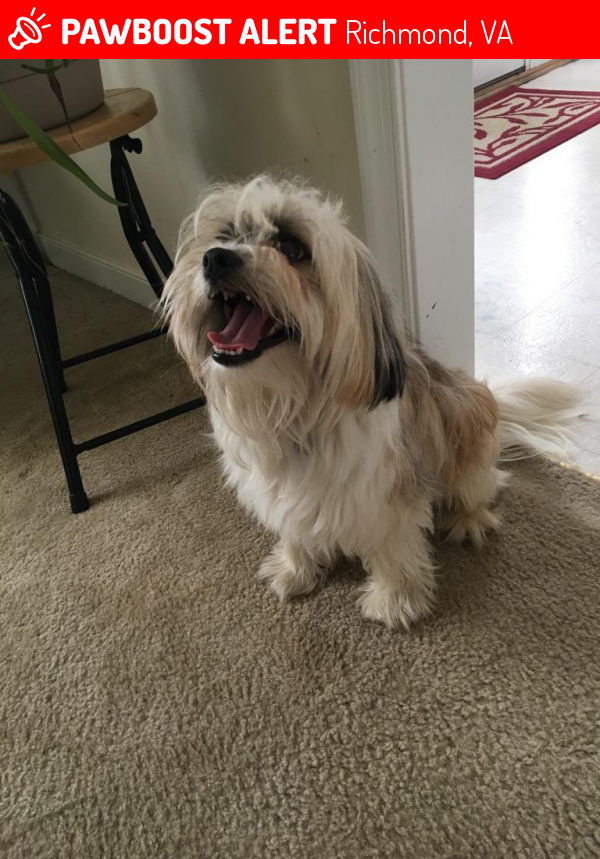 Found/Stray Male Dog in Richmond, VA 23234 (ID 4680992) PawBoost