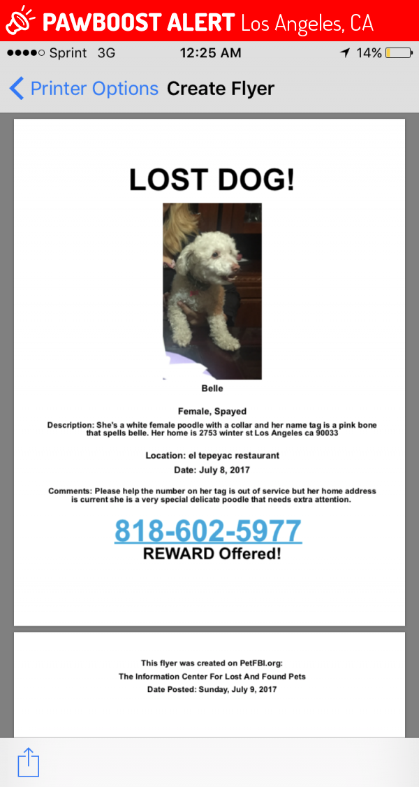 Lost Female Dog in Los Angeles, CA 90033 Named Belle (ID: 4684218 ...