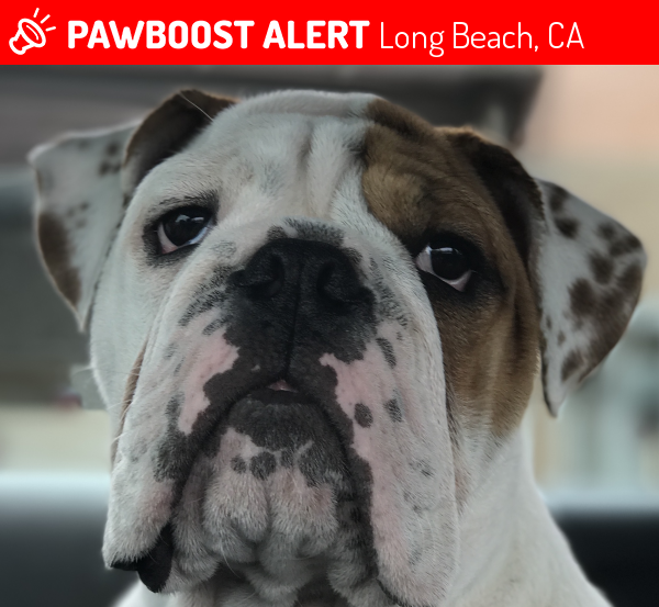 Tsunami alert today near long beach ca