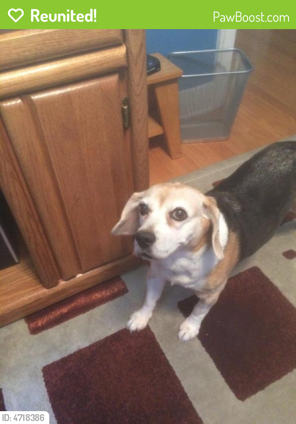 Reunited Female Dog last seen Near S Columbine St & E Arizona Ave, Denver, CO 80210