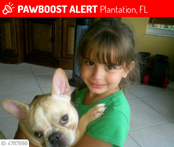 Lost Male Dog last seen Near NW 134th Ave & NW 4th Ct, Plantation, FL 33325