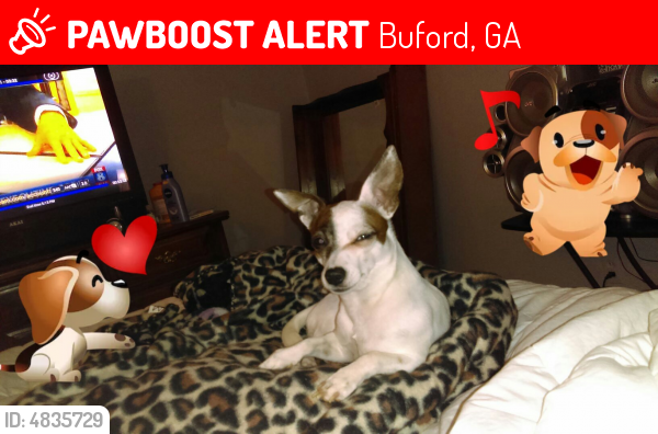 Lost Male Dog last seen Near Ivy Creek Road Northeast, Buford, GA, Buford, GA 30519