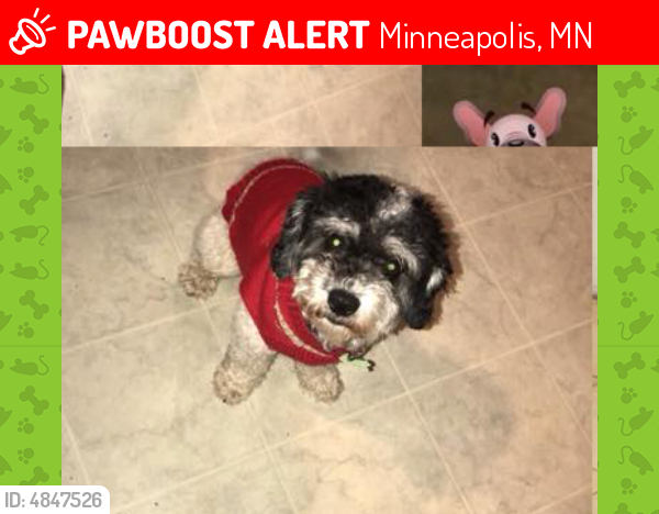 Lost Male Dog last seen Near Aldrich Ave N & 23rd Ave N, Minneapolis, MN 55411