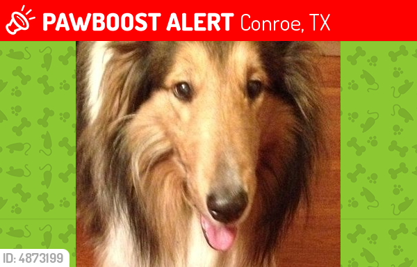 Deceased Male Dog last seen Near N Thompson St, Conroe, TX 77301