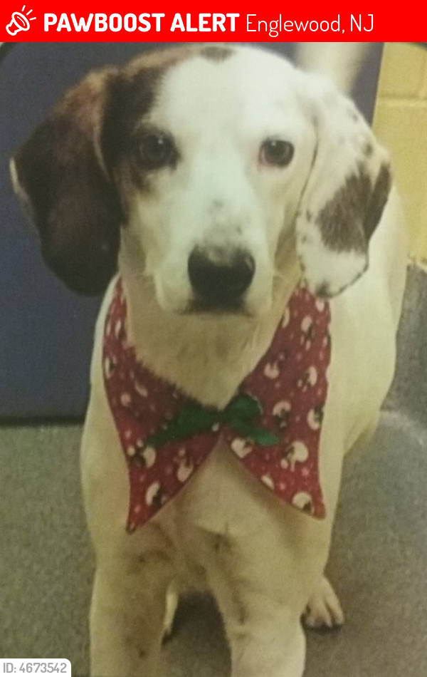 Deceased Female  last seen Near W Sheffield Ave & Sterling Blvd, Englewood, NJ 07631