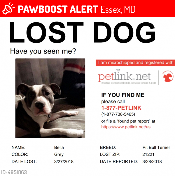 Lost dog hot sale listings near me