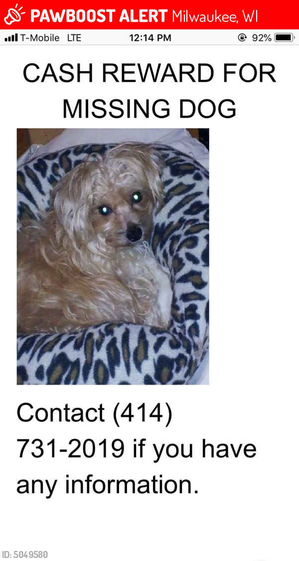 Milwaukee, WI Lost Female Dog, Sofie Is Missing PawBoost