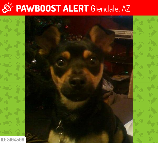 Lost Male Dog last seen Near N 72nd Ave & W North Ln, Glendale, AZ 85381