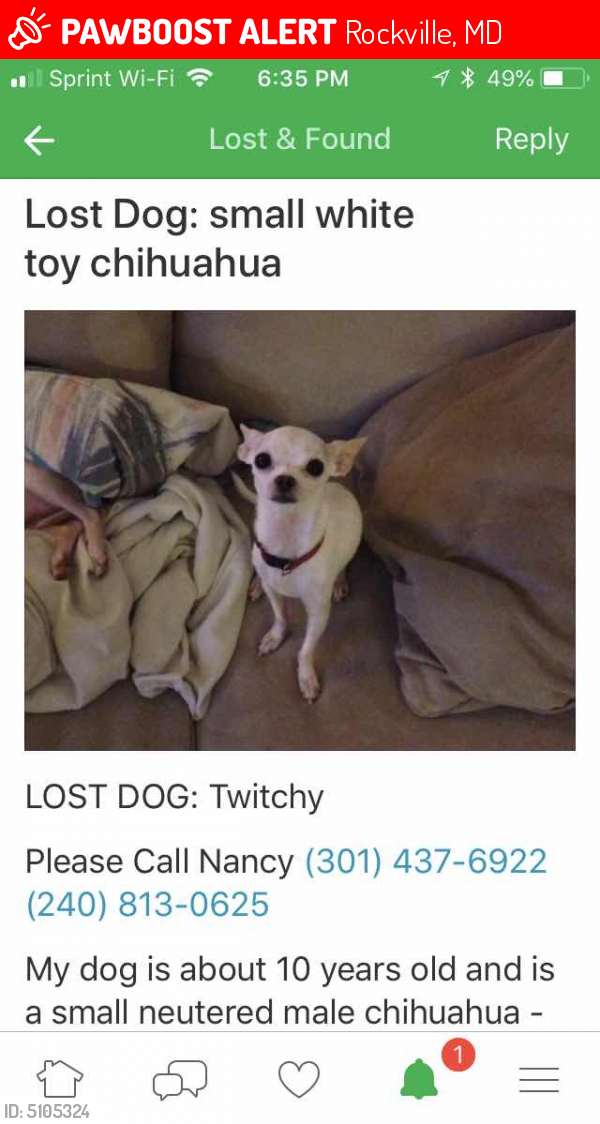 Lost Male Dog last seen Near Grenoble Dr & Grenoble Ct, Rockville, MD 20853