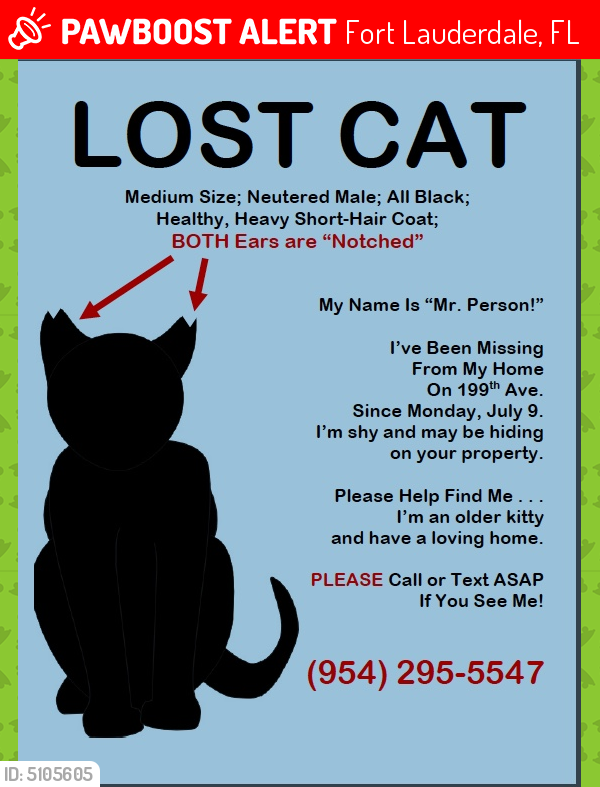 Lost Male Cat last seen Near SW 54th Pl & SW 199th Ave, Fort Lauderdale, FL 33332