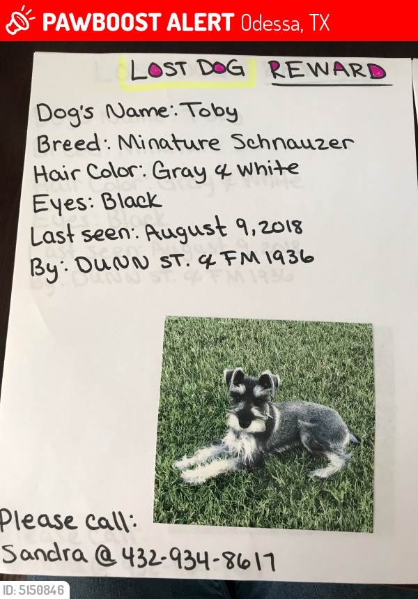 Lost Male Dog last seen Dunn St & N F-M 1936, Odessa, TX 79763