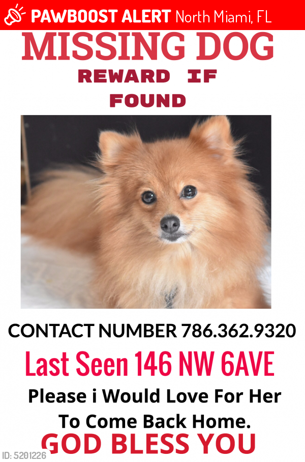 Lost Female Dog last seen Near NW 5th Ave & NW 125th St, North Miami, FL 33168