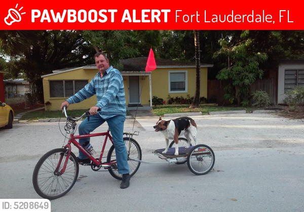 Lost Male Dog last seen Near N Federal Hwy & E Broward Blvd, Fort Lauderdale, FL 33301