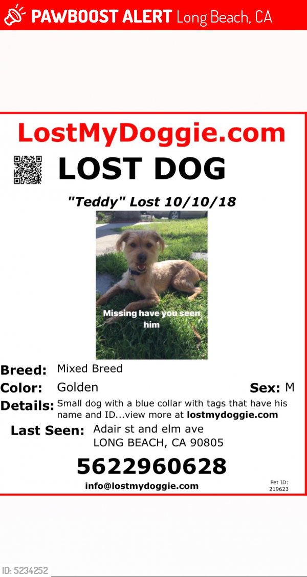 Lost Male Dog last seen Near E Adair St & Jaymills Ave, Long Beach, CA 90805