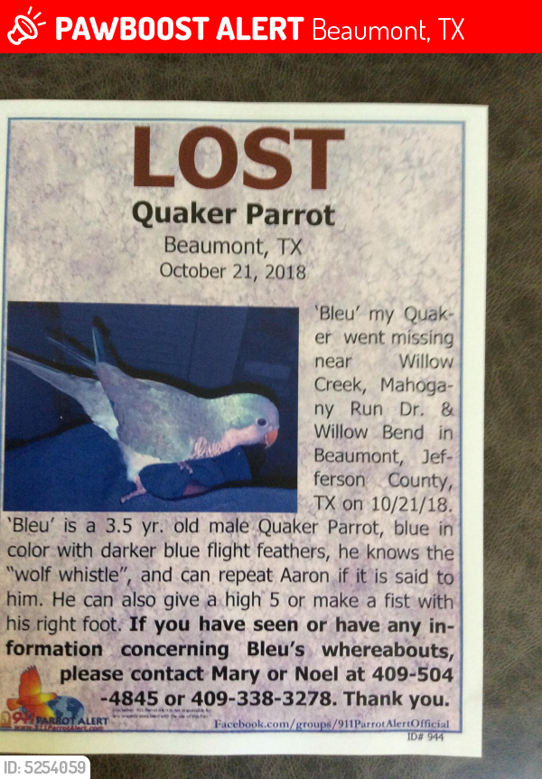 Lost Male Bird last seen Near Mahogany Run & Inverness Dr, Beaumont, TX 77707