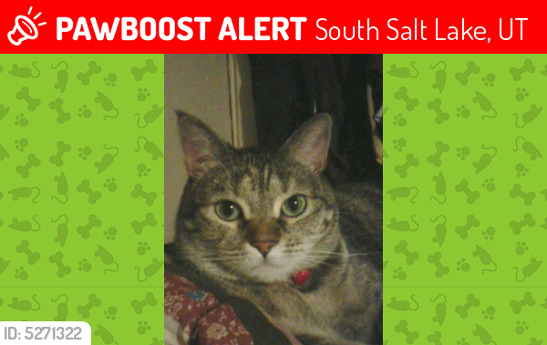 Lost Female Cat last seen Near E Helm Ave & S 200 E, South Salt Lake, UT 84115
