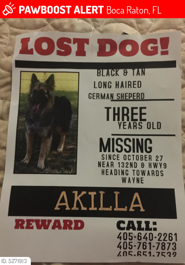 Lost Female Dog last seen Fish market and Hwy39 , Boca Raton, FL 33434
