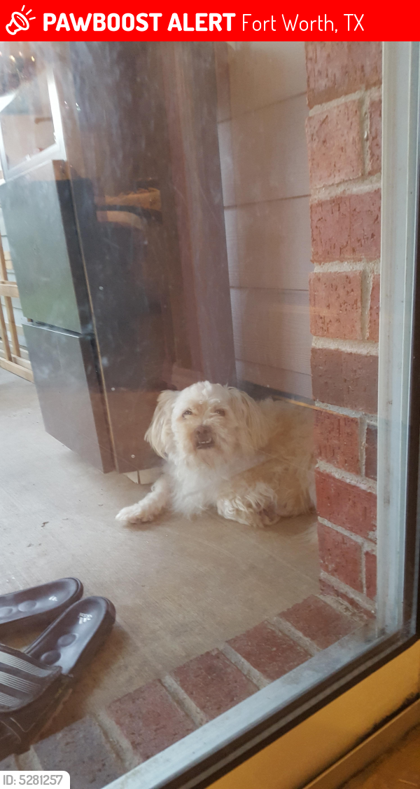 Lost Male Dog last seen Near Chadwick Dr & Center Ridge Dr, Fort Worth, TX 76131