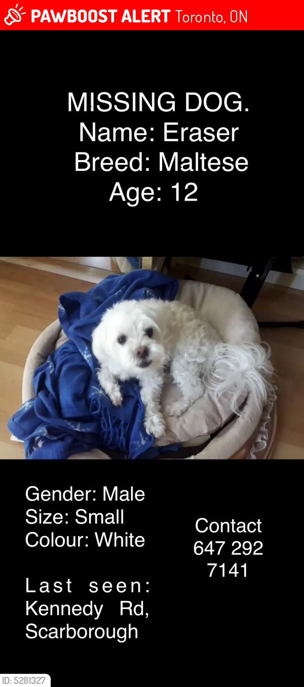 Lost Male Dog last seen Kennedy Road, Scarborough, ON, Canada, Toronto, ON 