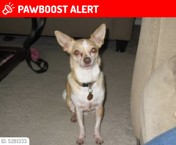 Deceased Male Dog last seen Near 23 Mile Rd & Schoenherr Rd, Shelby charter Township, MI 48315