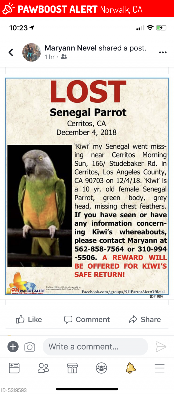 Lost Unknown Bird last seen Near Alondra Blvd & Elmcroft Ave, Norwalk, CA 90650