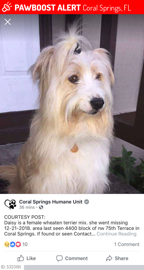 Lost Female Dog last seen Near NW 75th Ter & NW 44th Ct, Coral Springs, FL 33065