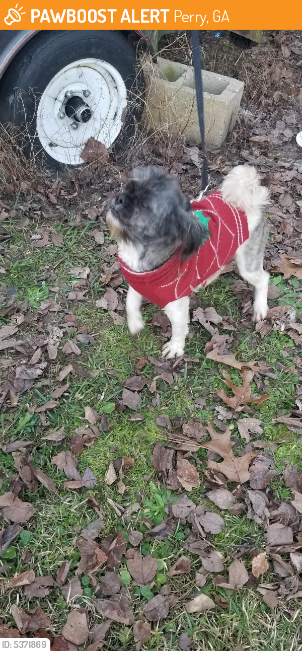 Found/Stray Male Dog last seen Lake Joy Road, Perry, GA, USA, Perry, GA 31069