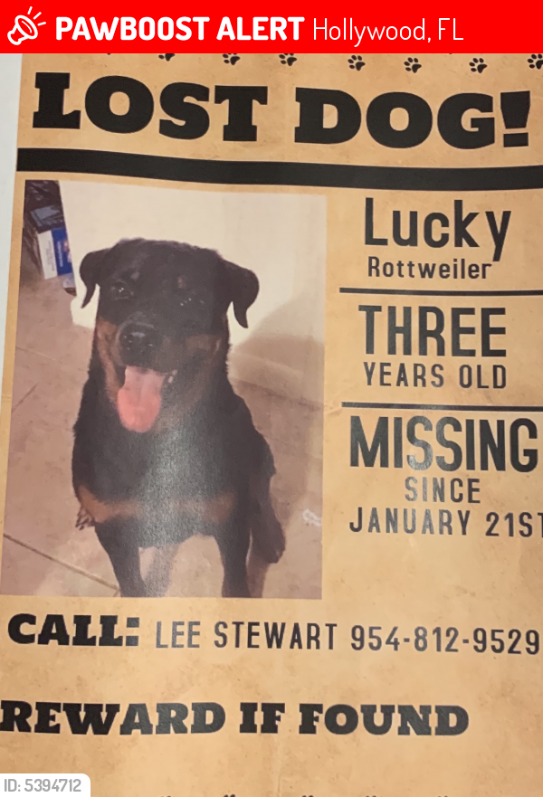 Lost Male Dog last seen Near Hollywood Blvd & S Dixie Hwy, Hollywood, FL 33020