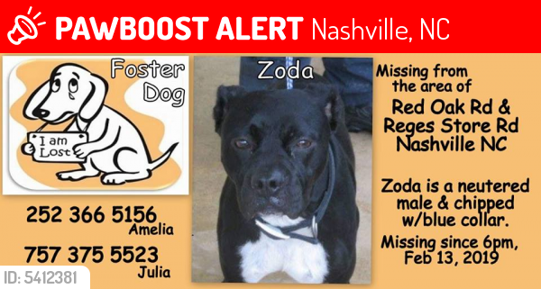 Lost Male Dog last seen Near Reges Store Rd & Red Oak Rd, Nashville, NC 27856