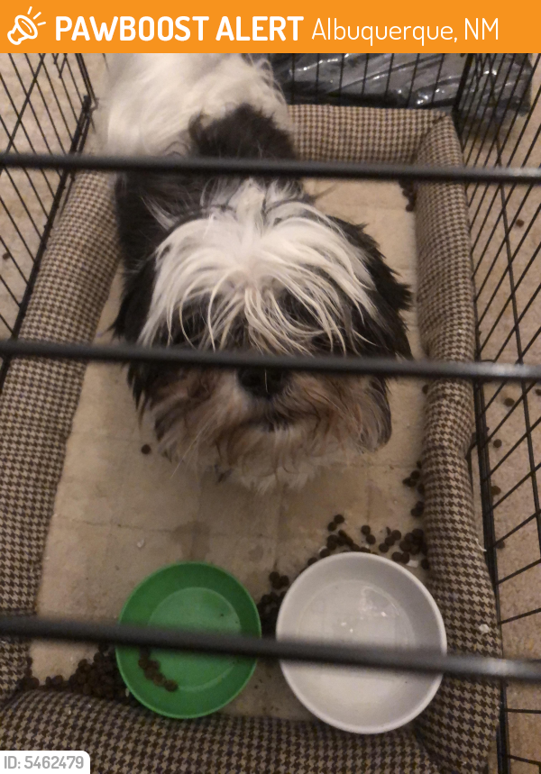 Found/Stray Male Dog last seen Near 98th St SW & de Vargas Rd SW, Albuquerque, NM 87121