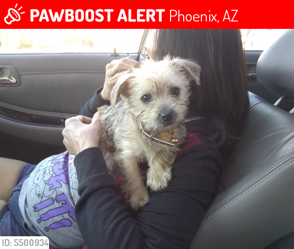 Lost Male Dog last seen Near E Libby St & N 19th St, Phoenix, AZ 85022