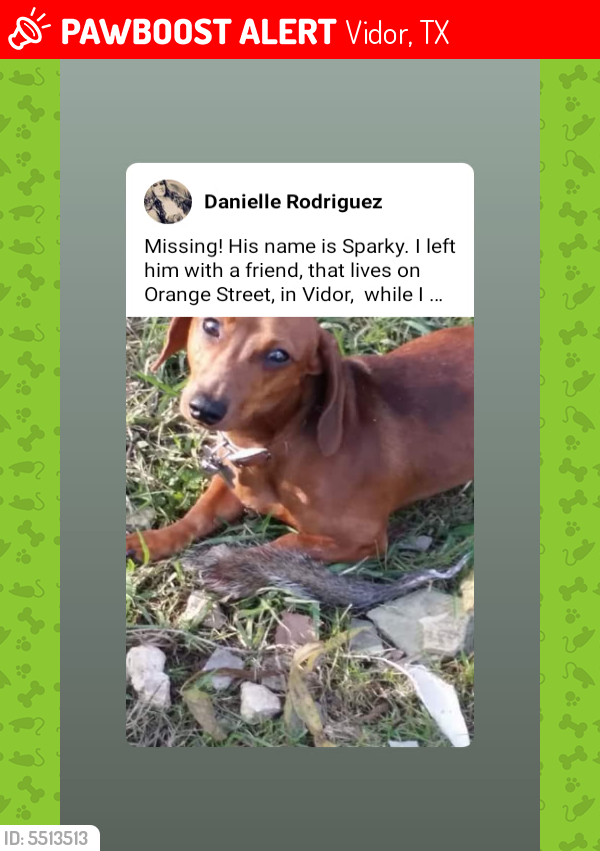 Lost Male Dog last seen Near Orange St & Needles St, Vidor, TX 77662