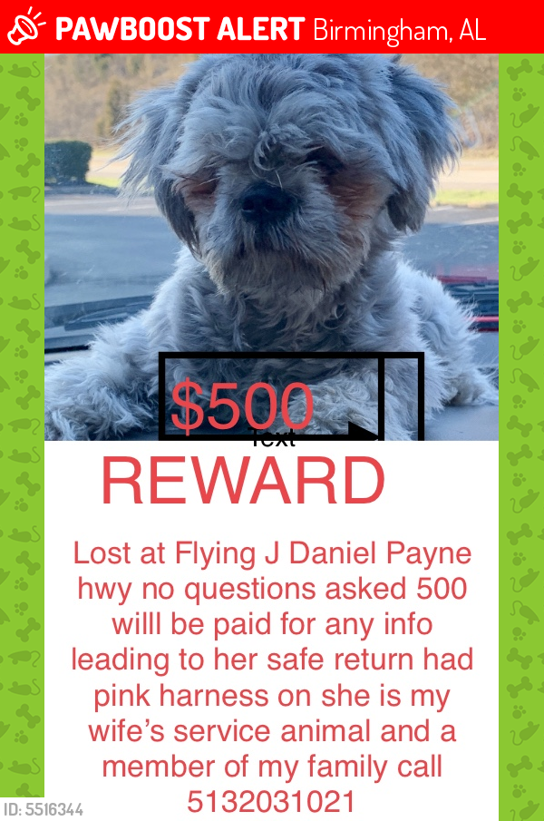Lost Female Dog last seen Flying j Daniel Payne Dr & 41st Ave N, Birmingham, AL 35207