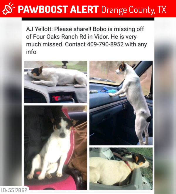 Lost Male Dog last seen Near Oaks Ranch Road, Vidor, TX, USA, Orange County, TX 77662
