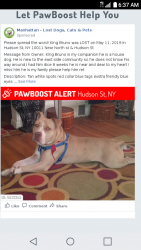 Lost Male Dog last seen Portland ave rochester NY, Hudson St, NY 10011