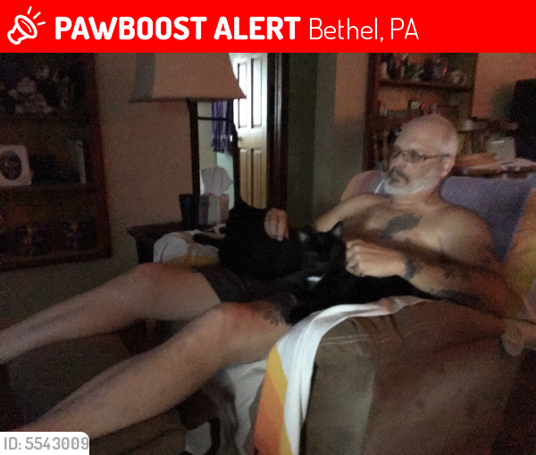 Deceased Male Cat last seen Near 4 Point Road, Bethel, PA, USA, Bethel, PA 19507