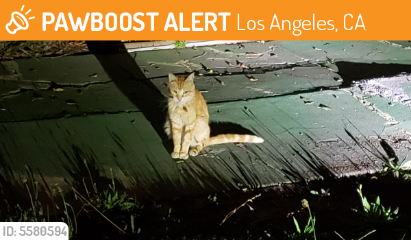 Found/Stray Unknown Cat last seen Near Empire Dr & Regent St, Los Angeles, CA 90034