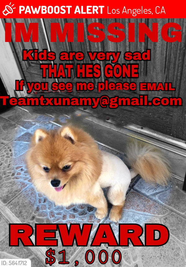 Familia diamond hot sale lost dog