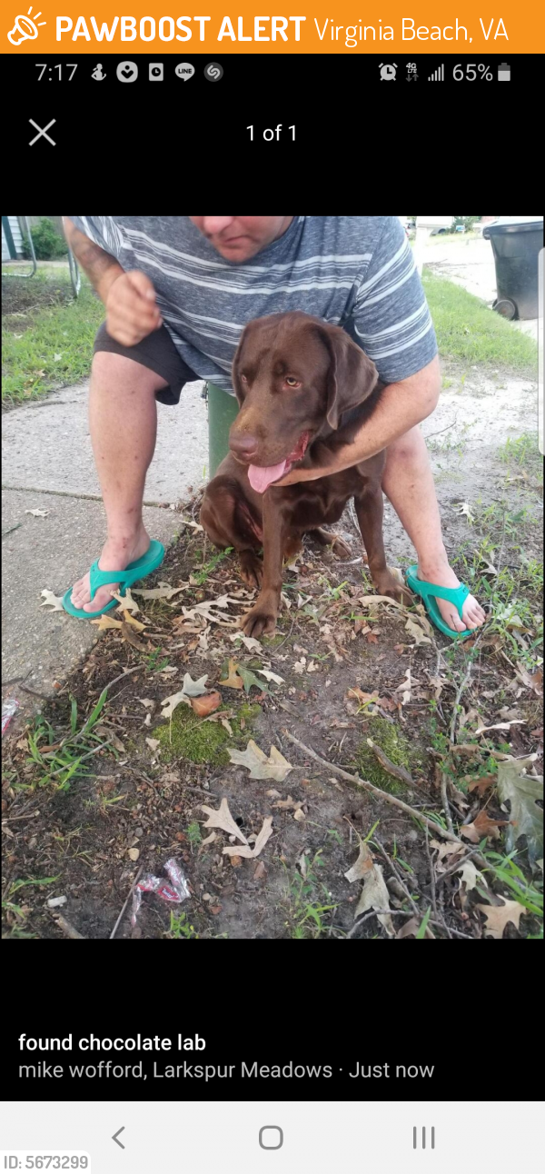 Found/Stray Male Dog last seen Near Blue Lake Ct & Smokey Lake Dr, Virginia Beach, VA 23462