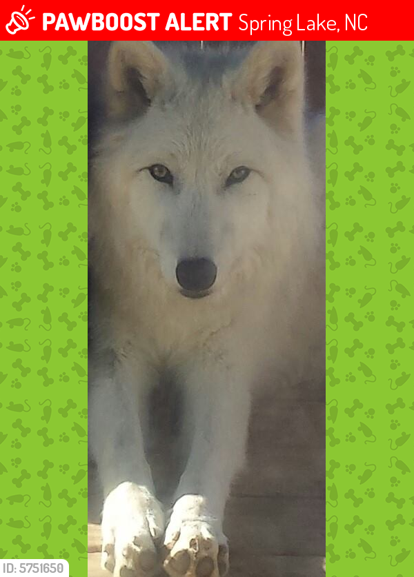 Deceased Female Other last seen Azalea and Cedar, Spring Lake, NC 28390