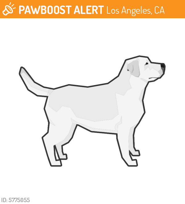 Found/Stray Male Dog last seen 46th and Vermont , Los Angeles, CA 90037