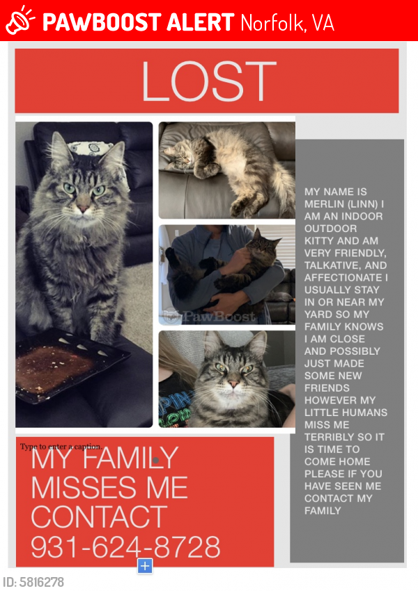Lost Male Cat last seen Near fishermans , Norfolk, VA 23503