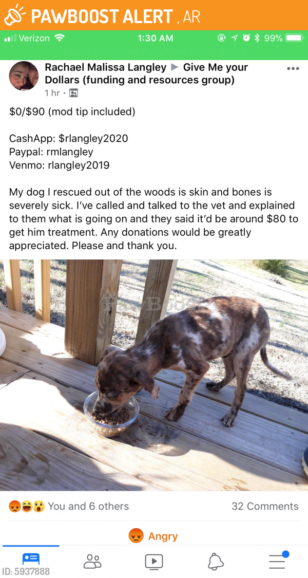 Stray Male Dog Found Near Arkansas | PawBoost