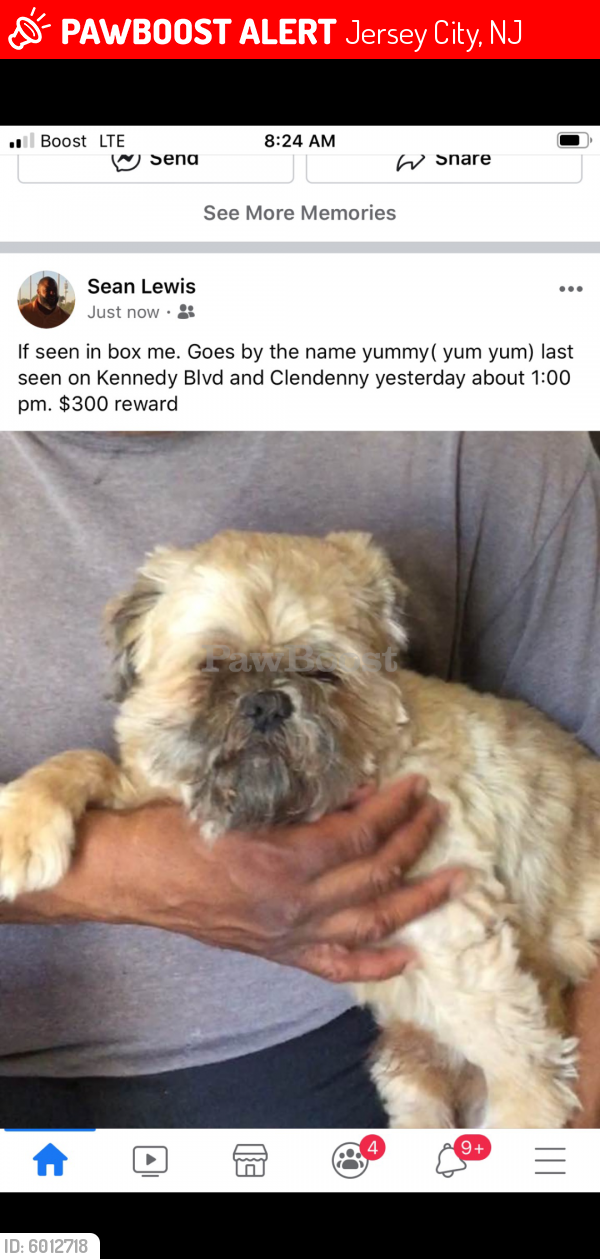 Lost Male Dog last seen Bergen Avenue, Jersey City, NJ 07304