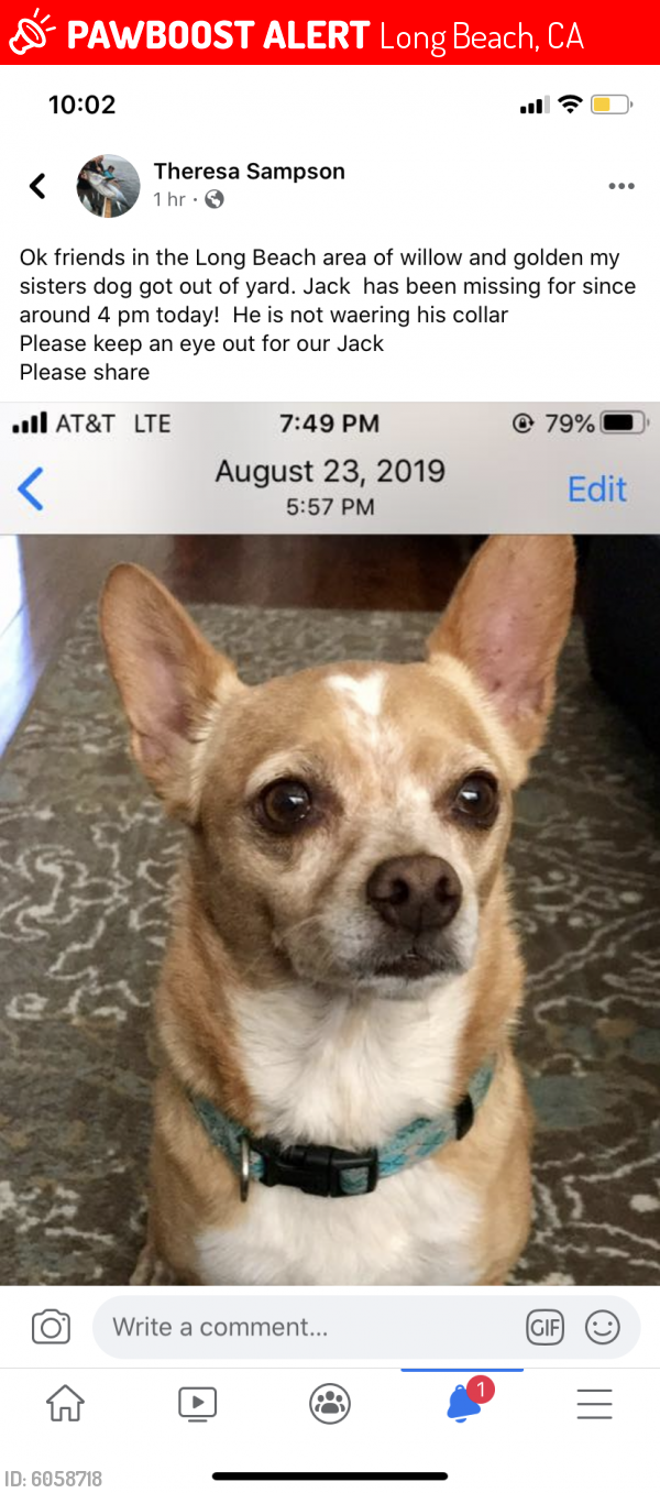 Lost Male Dog last seen Willow and golden , Long Beach, CA 90806