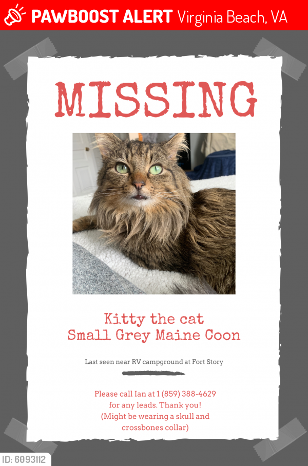 Lost Male Cat last seen Fort Story RV park/ base housing , Virginia Beach, VA 23459