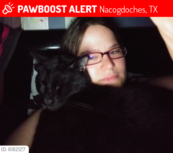 Lost Male Cat last seen Nacogdoches 204 area, Nacogdoches, TX 75964
