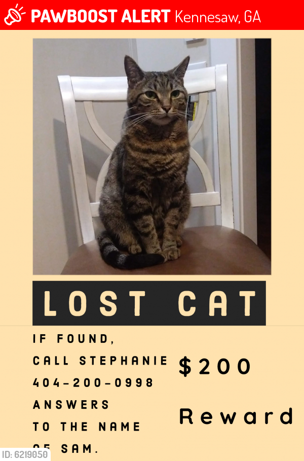 Lost Male Cat last seen Kennesaw State University, Kennesaw, GA 30144