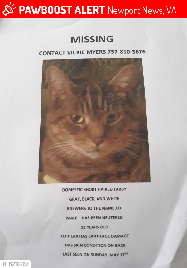 Lost Male Cat last seen Jefferson Ave and Mercury Blvd, Newport News, VA 23605